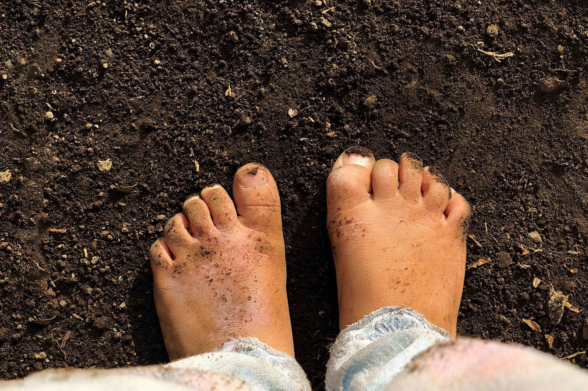 Pausa - Querido Universo